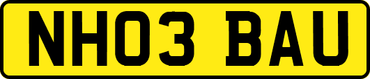 NH03BAU