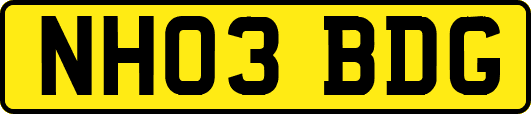 NH03BDG