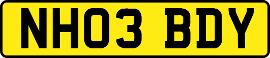 NH03BDY