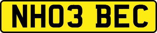 NH03BEC