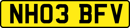 NH03BFV