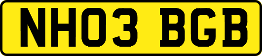 NH03BGB