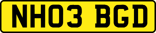 NH03BGD