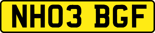 NH03BGF