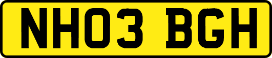 NH03BGH