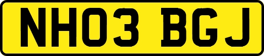 NH03BGJ