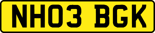 NH03BGK