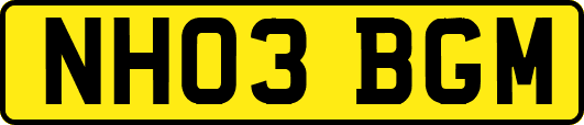 NH03BGM