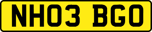 NH03BGO