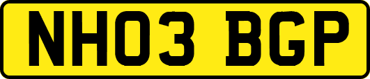 NH03BGP