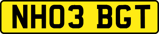 NH03BGT