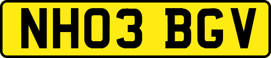 NH03BGV