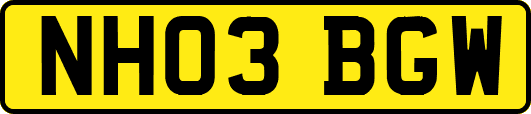 NH03BGW