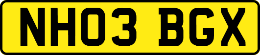 NH03BGX