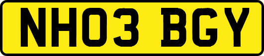 NH03BGY