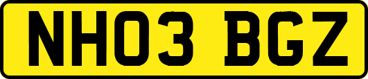 NH03BGZ