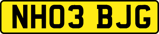 NH03BJG