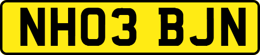 NH03BJN