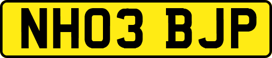 NH03BJP