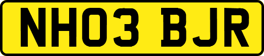 NH03BJR