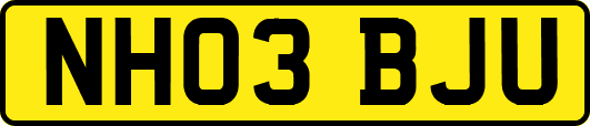 NH03BJU