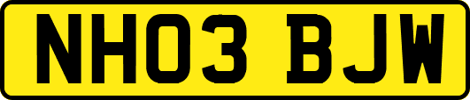 NH03BJW