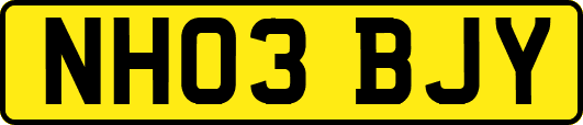 NH03BJY