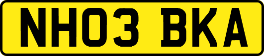 NH03BKA