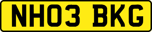 NH03BKG