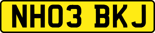 NH03BKJ