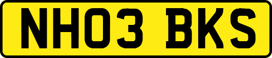 NH03BKS