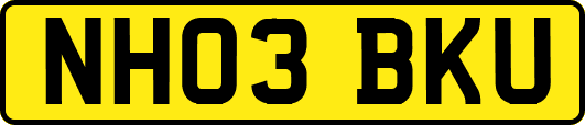 NH03BKU