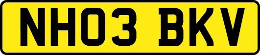 NH03BKV