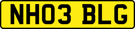 NH03BLG
