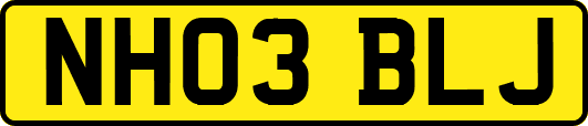 NH03BLJ
