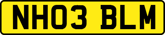 NH03BLM
