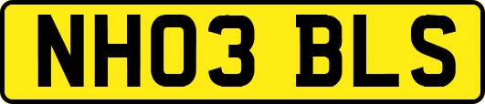 NH03BLS