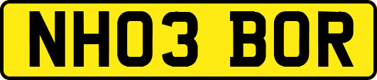 NH03BOR