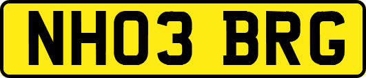 NH03BRG