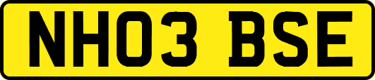 NH03BSE