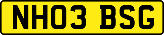 NH03BSG