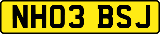NH03BSJ