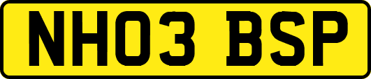 NH03BSP