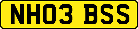 NH03BSS