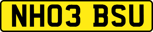 NH03BSU
