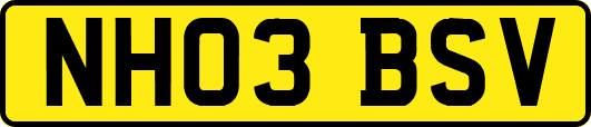 NH03BSV