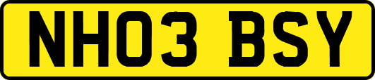 NH03BSY