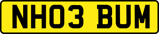 NH03BUM