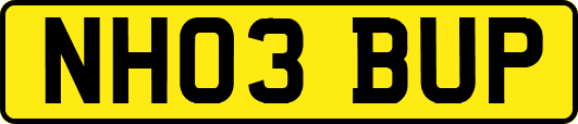 NH03BUP