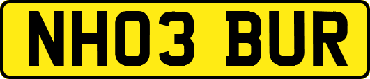 NH03BUR